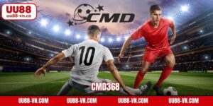 CMD368