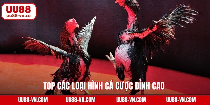 Top các loại hình cá cược đỉnh cao đang được ưa chuộng nhất