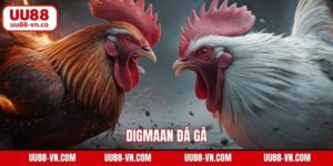 Digmaan Đá Gà