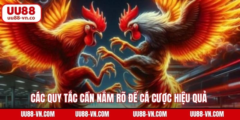 Các quy tắc cần nắm rõ để cá cược hiệu quả tại Digmaan 