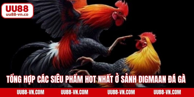 Tổng hợp các siêu phẩm hot nhất ở sảnh Digmaan đá gà 