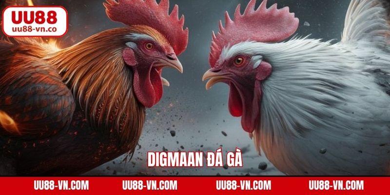 Digmaan Đá Gà