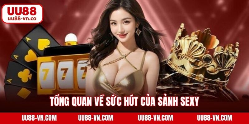 Tổng quan về sức hút của sảnh Sexy