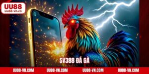 SV388 Đá Gà