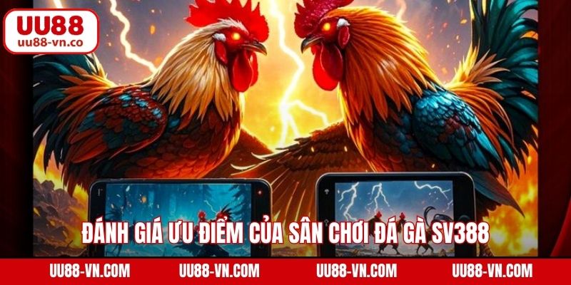Đánh giá ưu điểm của sân chơi đá gà SV388