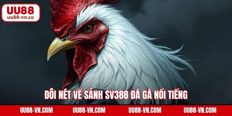 Đôi nét về sảnh SV388 đá gà nổi tiếng