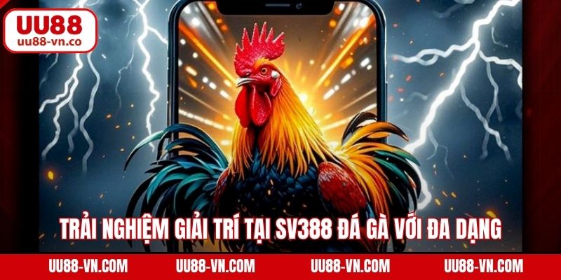 Trải nghiệm giải trí tại SV388 đá gà với đa dạng hình thức