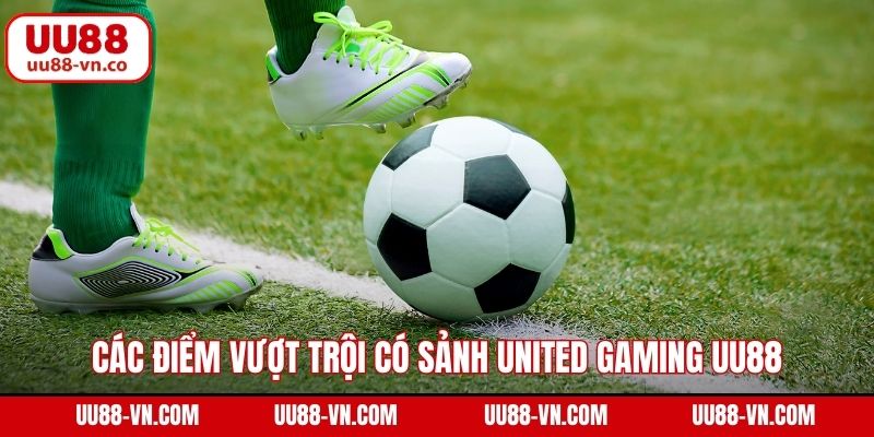 Các bộ môn cá cược thể thao thú vị tại sảnh UNITED 