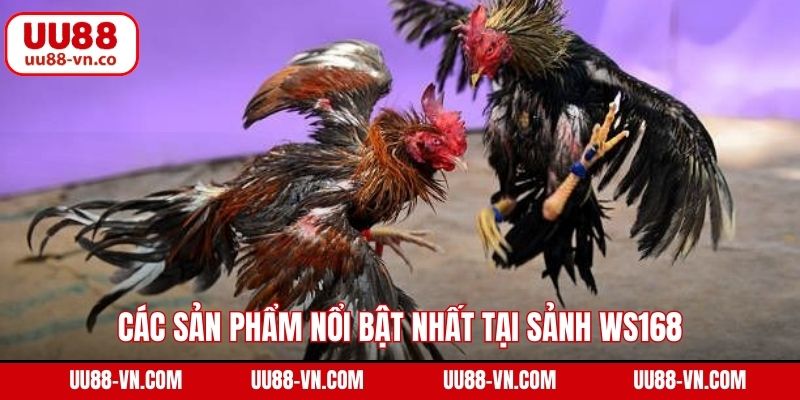 Các sản phẩm nổi bật nhất tại sảnh WS168